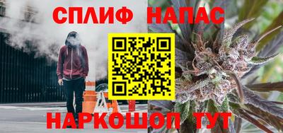 СК Камышлов