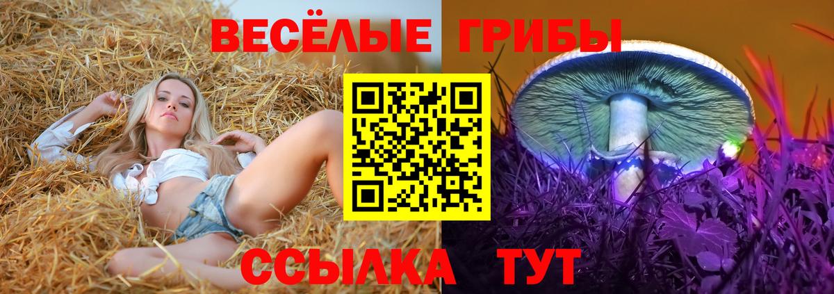 магазин продажи наркотиков  Вход с VPN  Галлюциногенные грибы прущие грибы  Кызыл  Псилоцибиновые грибы мухоморы 